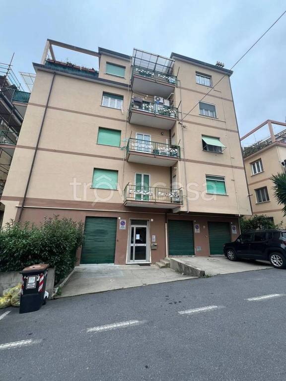 immagine annuncio 9 di 14