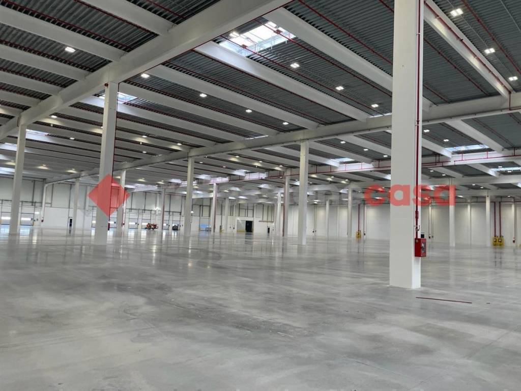 immagine annuncio 4 di 8