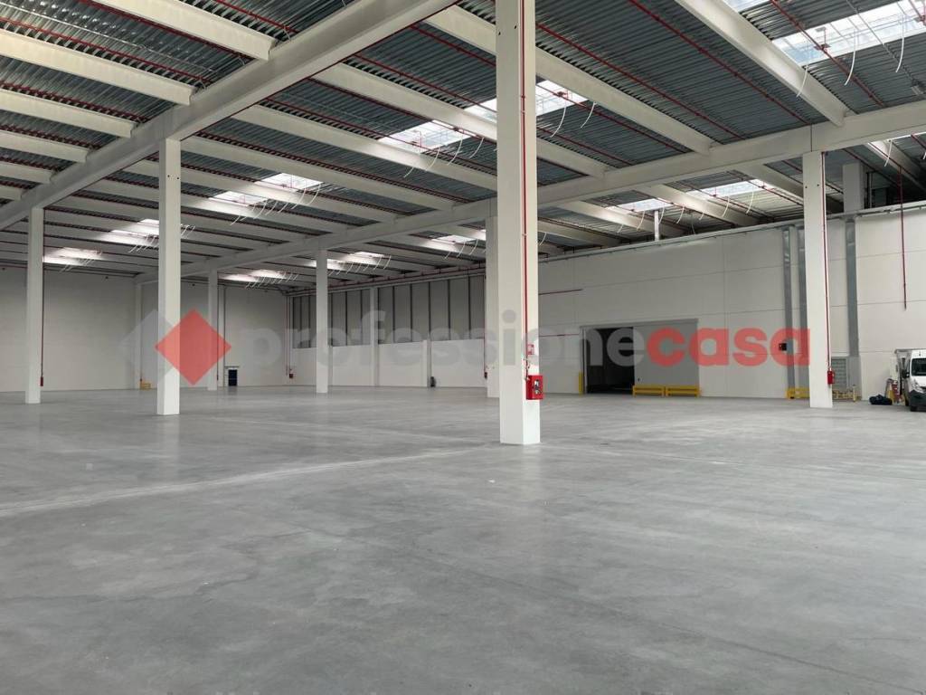 immagine annuncio 7 di 8