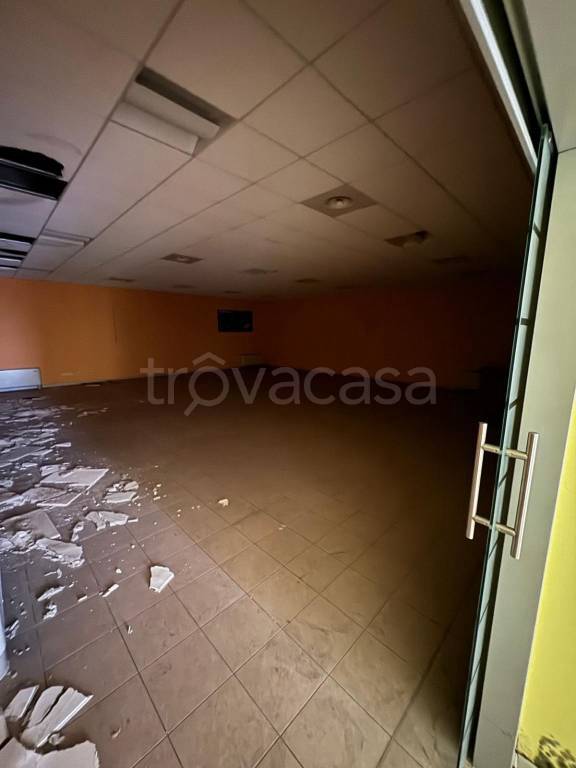 immagine annuncio 5 di 7