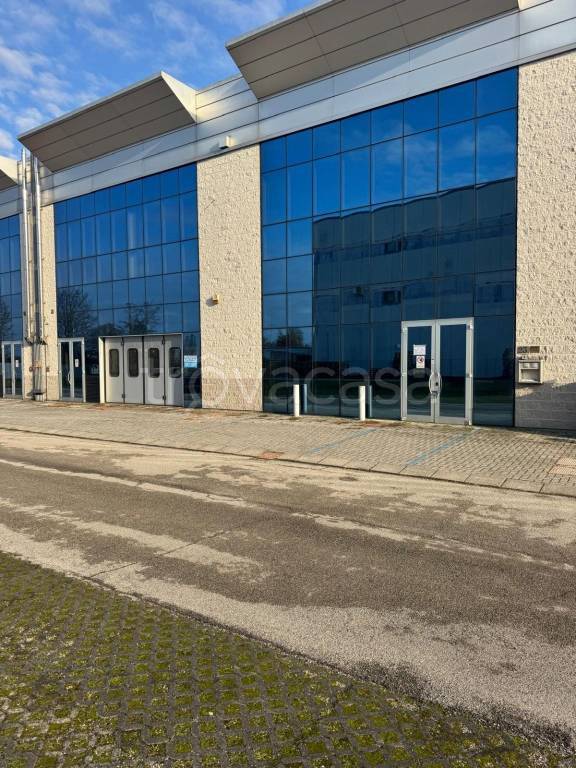 immagine annuncio 2 di 7