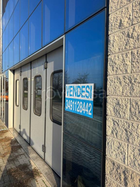 immagine annuncio 3 di 7