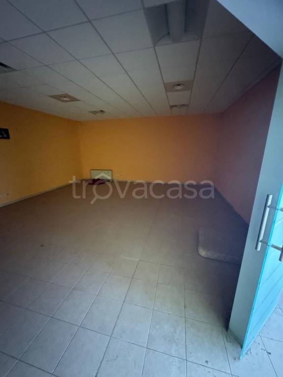 immagine annuncio 4 di 7