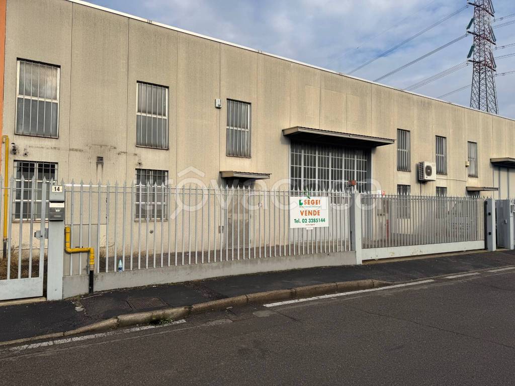 immagine annuncio 1 di 15