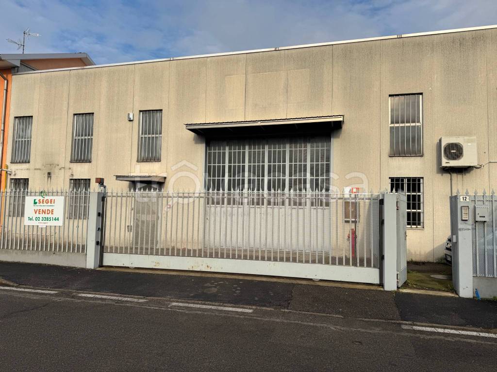 immagine annuncio 3 di 15