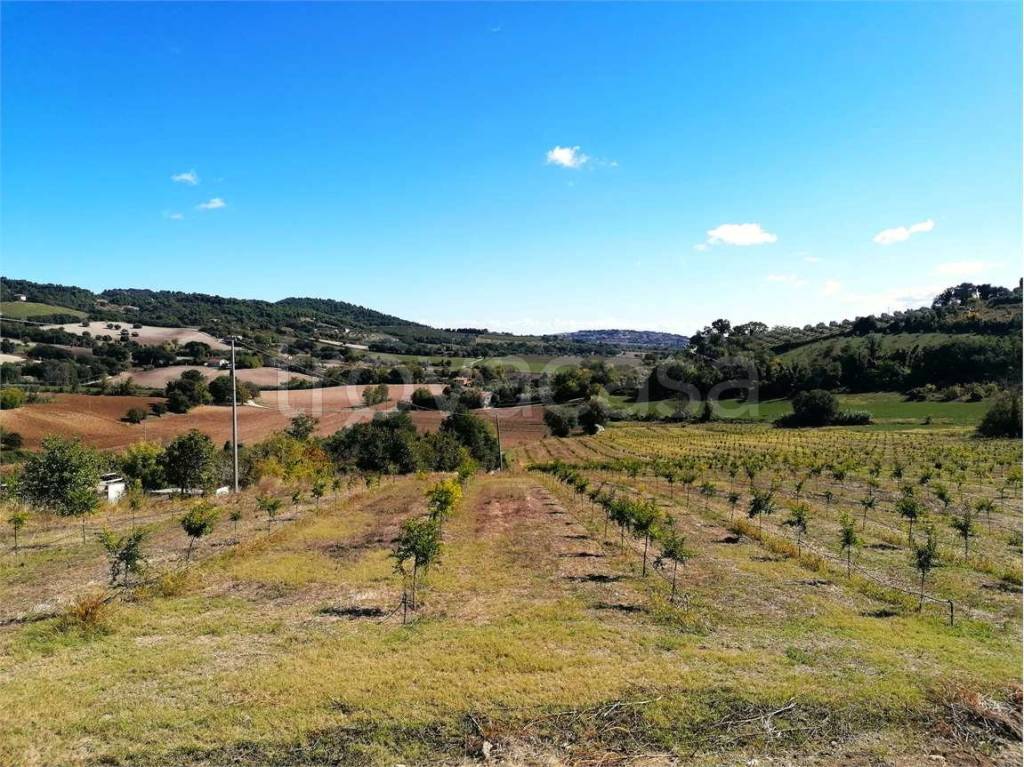 immagine annuncio 7 di 9