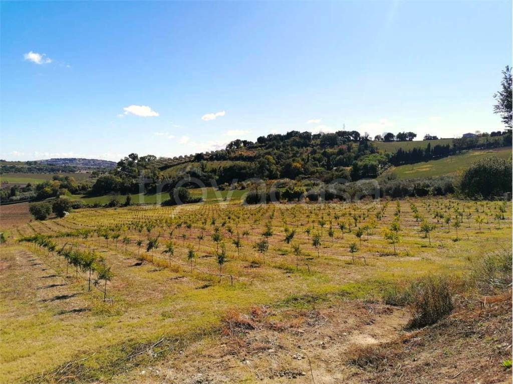 immagine annuncio 8 di 9