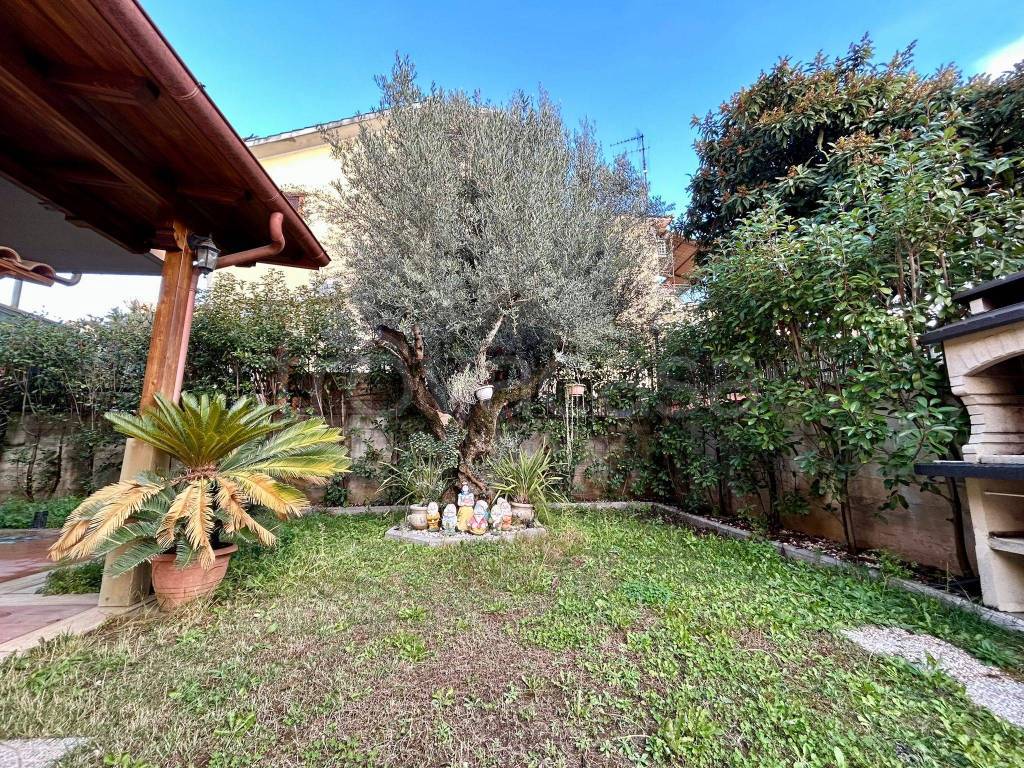 immagine annuncio 6 di 15