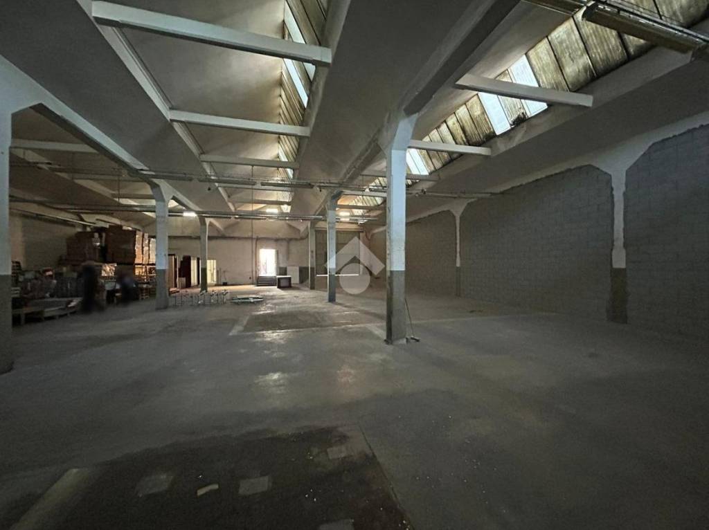 immagine annuncio 4 di 11