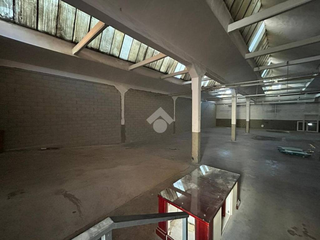 immagine annuncio 5 di 11