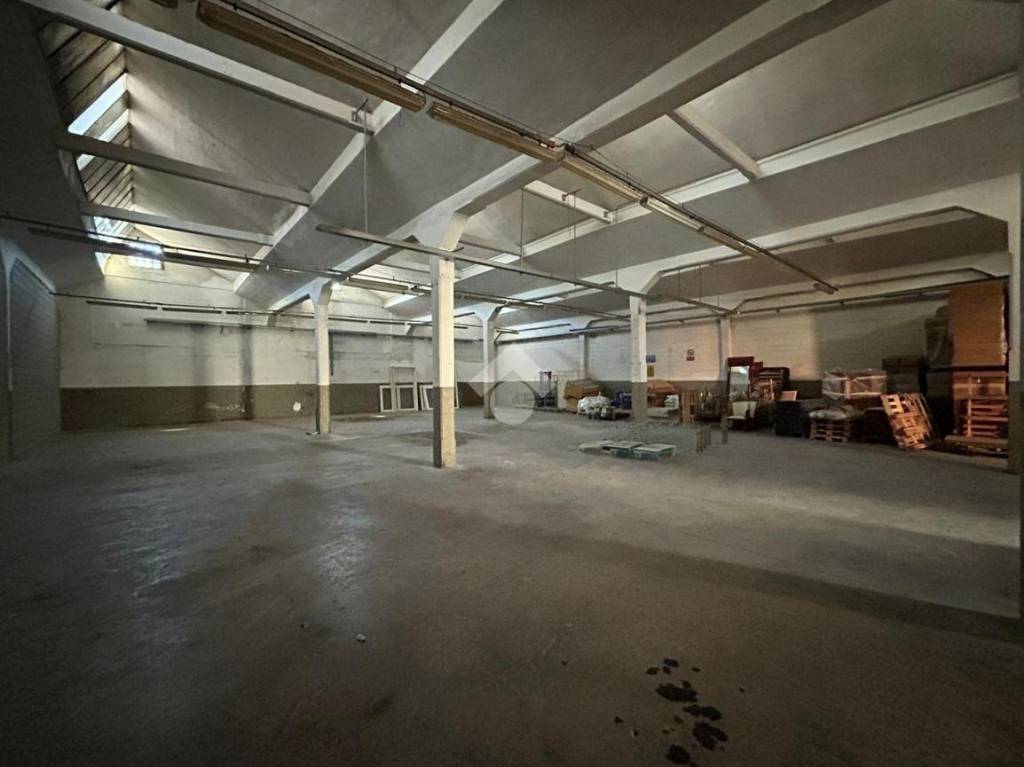 immagine annuncio 6 di 11