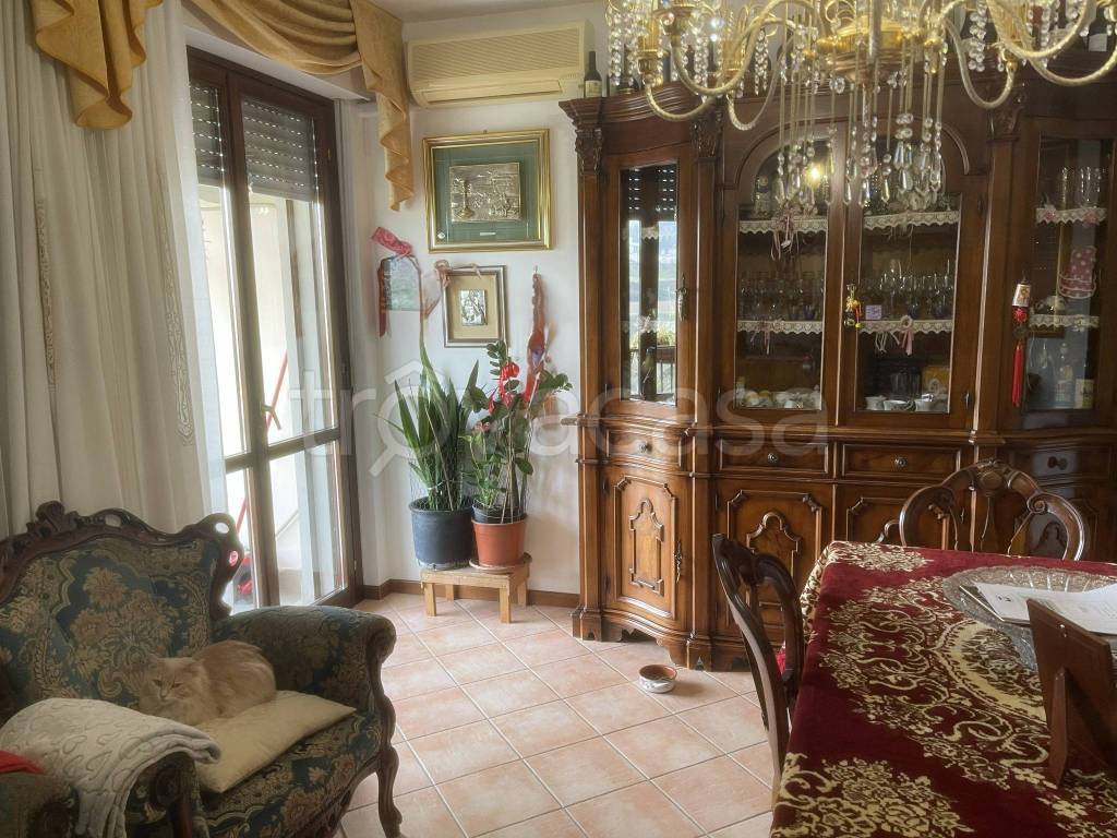 immagine annuncio 9 di 11