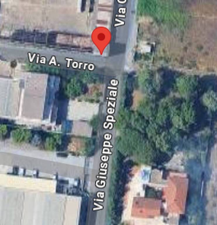 immagine annuncio 12 di 13