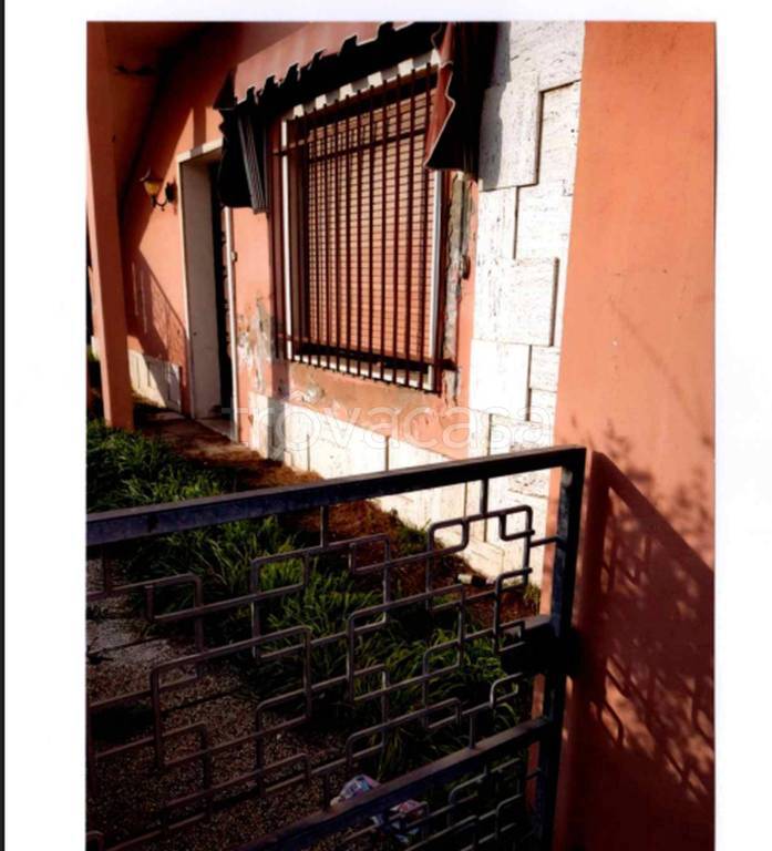 immagine annuncio 7 di 11