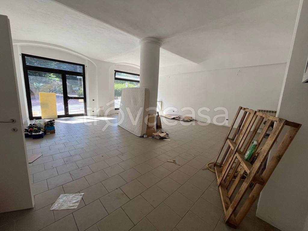 immagine annuncio 12 di 14