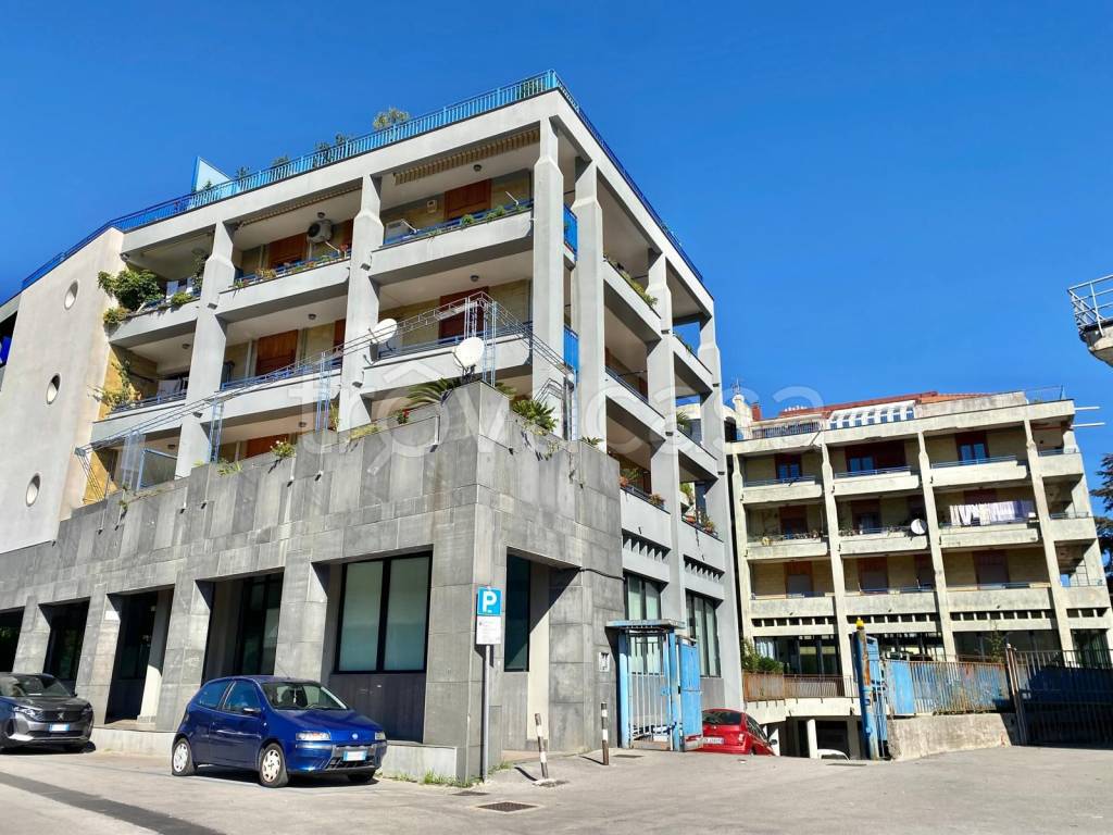 immagine annuncio 6 di 11