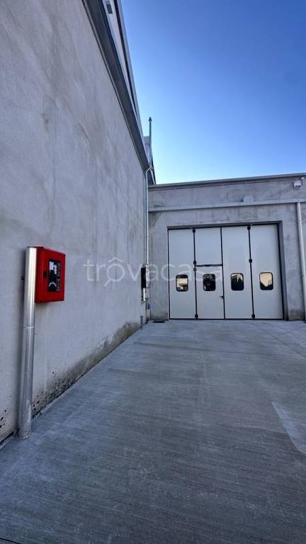 immagine annuncio 3 di 4