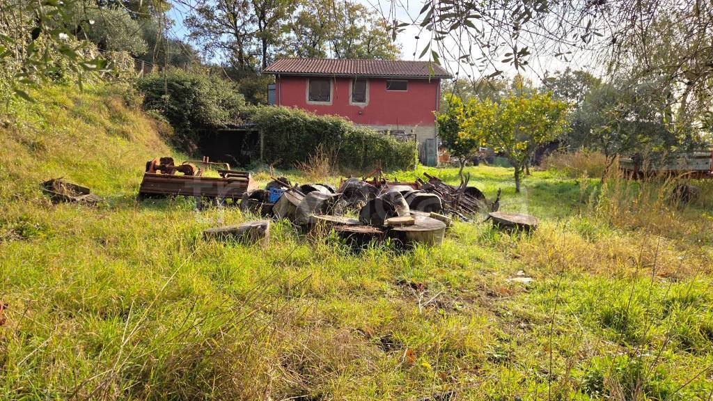 immagine annuncio 12 di 15