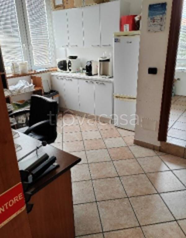 immagine annuncio 10 di 14