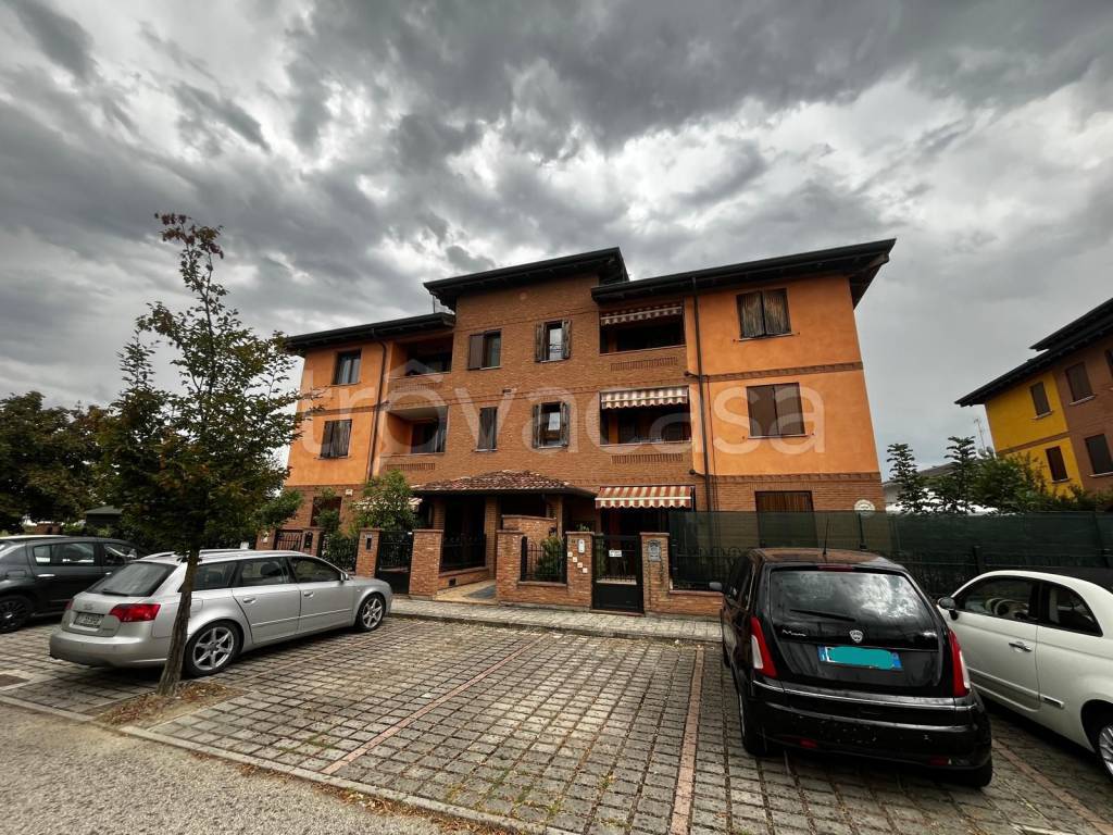 immagine annuncio 3 di 9