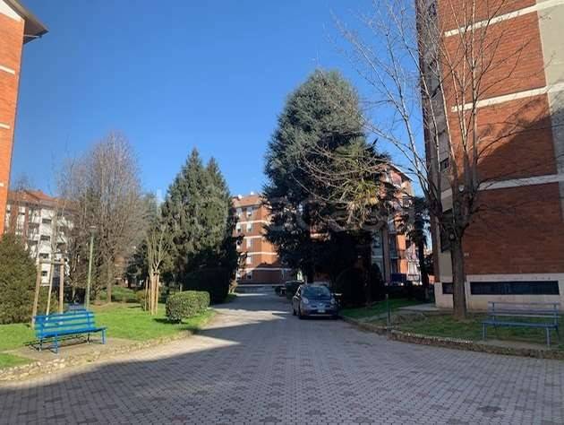 immagine annuncio 1 di 15