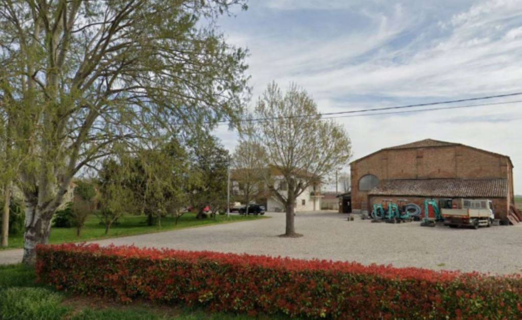 immagine annuncio 7 di 11