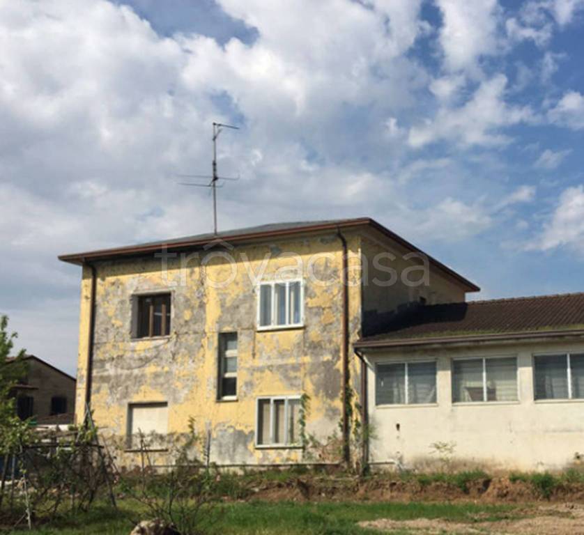 immagine annuncio 2 di 12