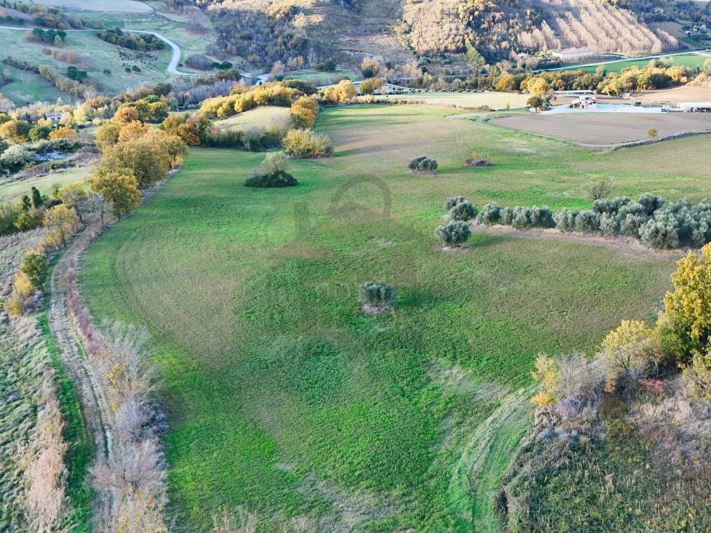 immagine annuncio 2 di 9