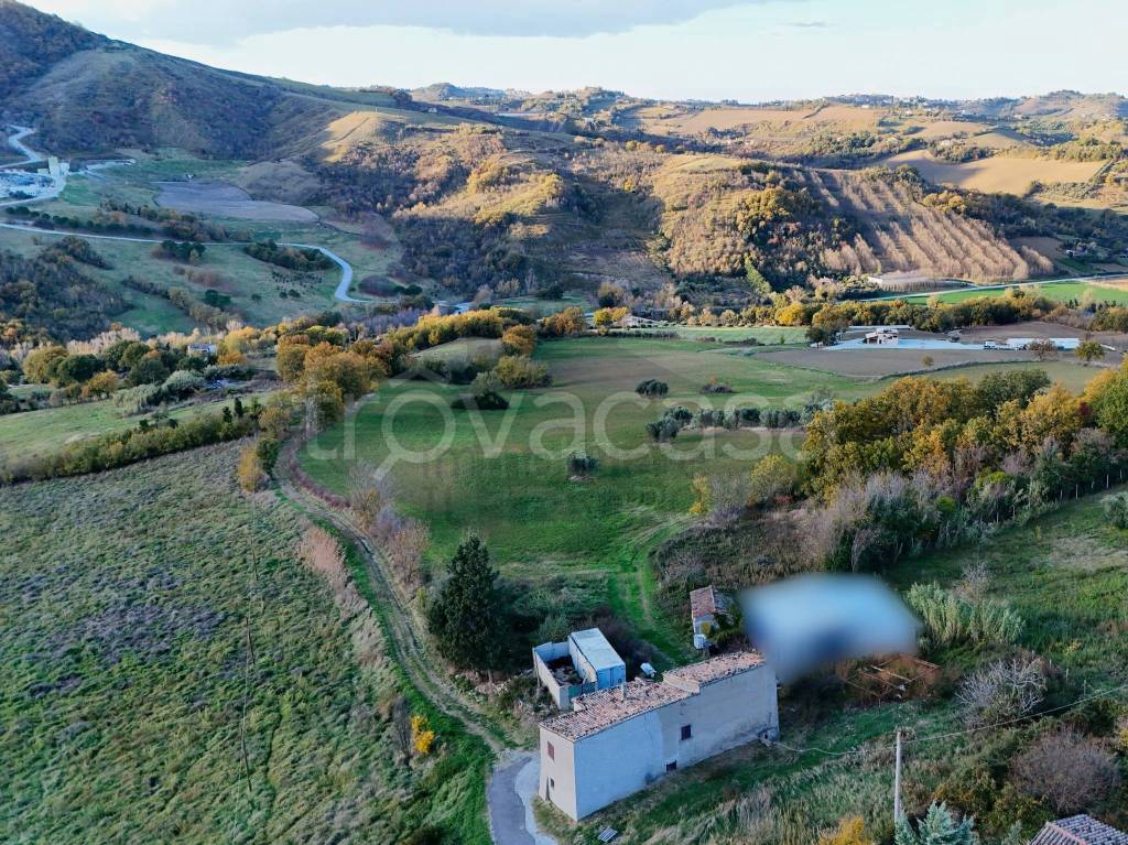 immagine annuncio 3 di 9