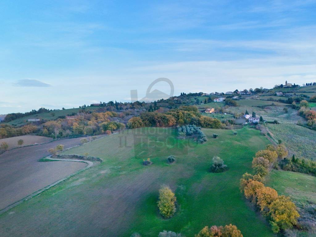 immagine annuncio 6 di 9