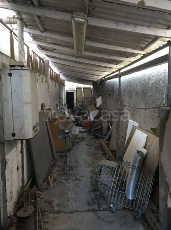 immagine annuncio 5 di 12