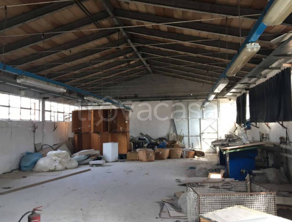 immagine annuncio 6 di 12