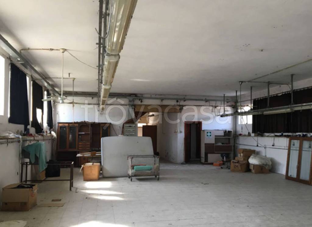 immagine annuncio 7 di 12