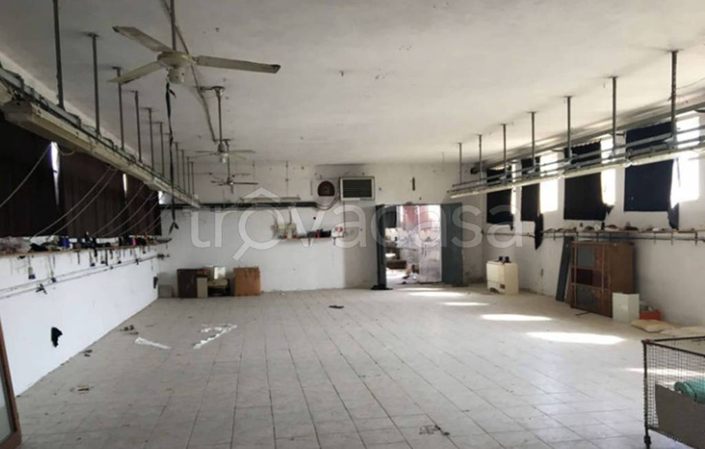 immagine annuncio 8 di 12