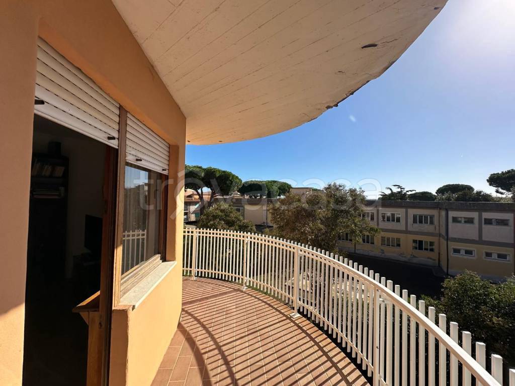 immagine annuncio 1 di 6