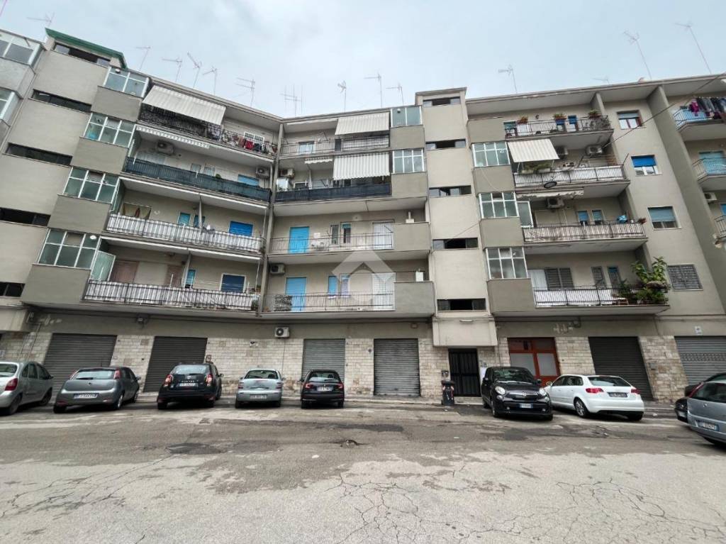 immagine annuncio 8 di 13