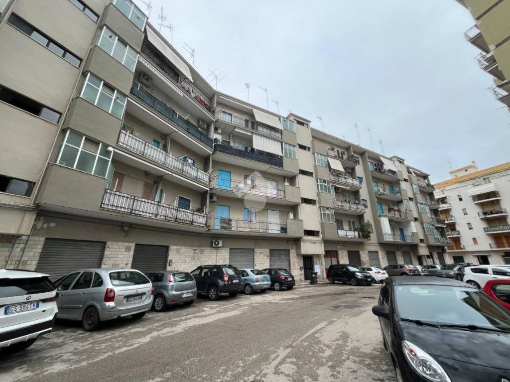 immagine annuncio 9 di 13