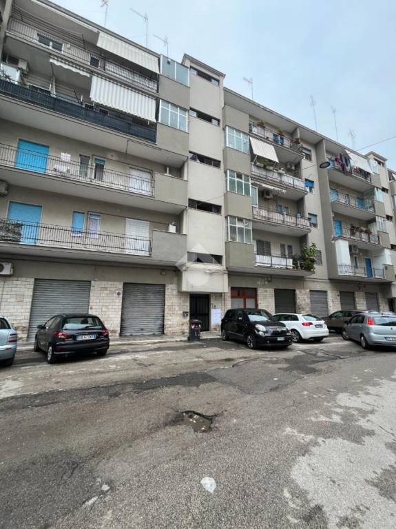 immagine annuncio 11 di 13