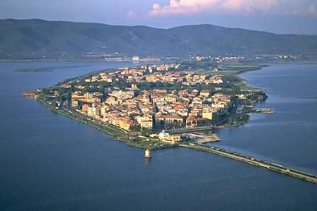 immagine annuncio 5 di 6