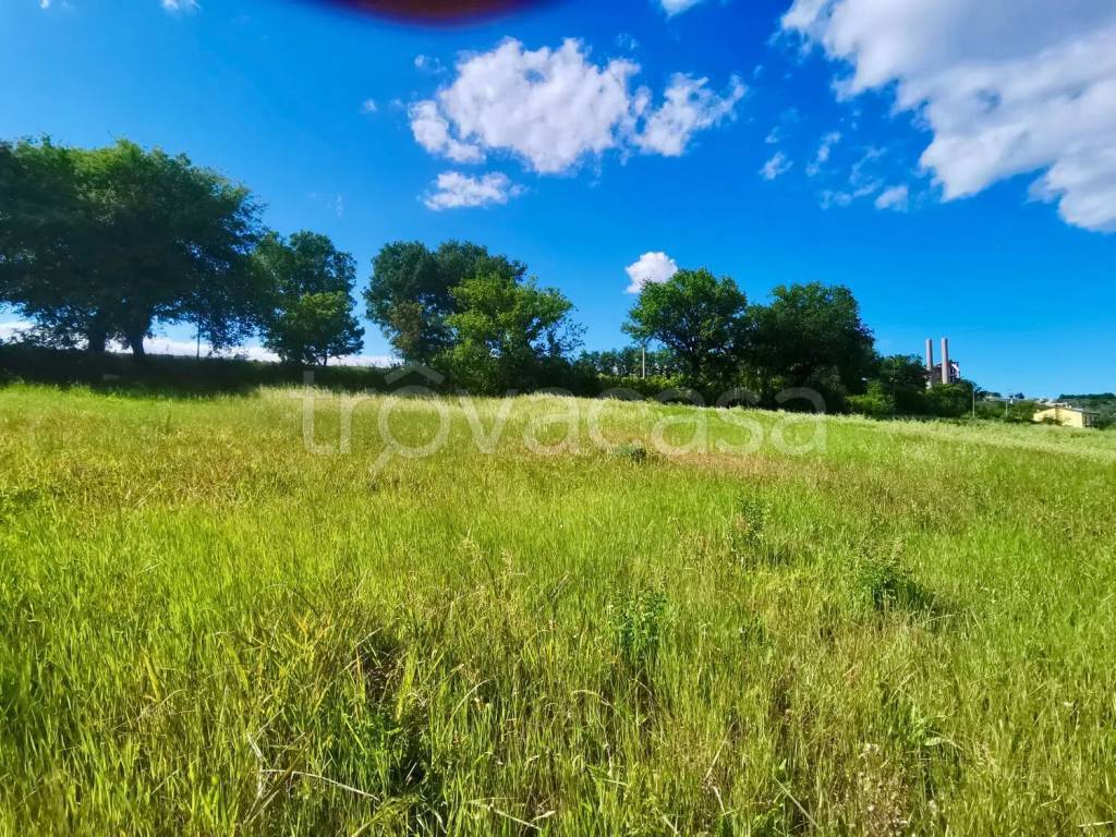 immagine annuncio 2 di 7