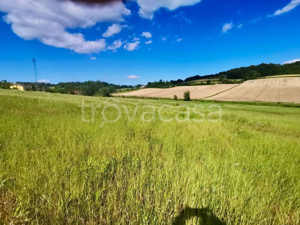 immagine annuncio 3 di 7