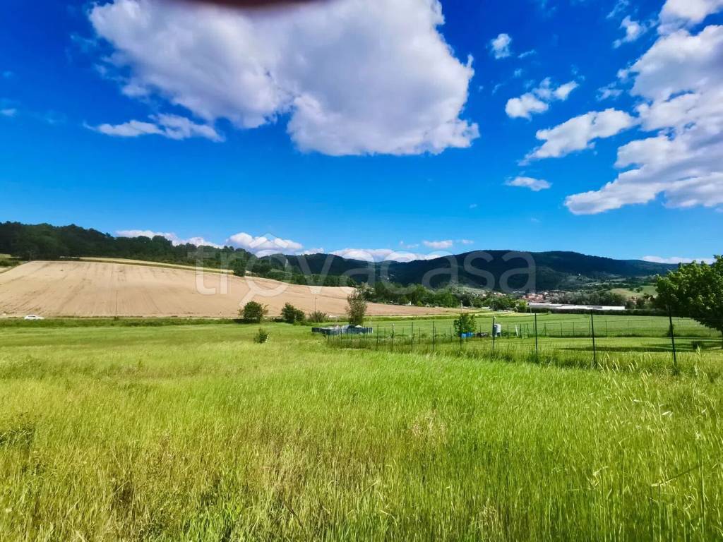 immagine annuncio 4 di 7