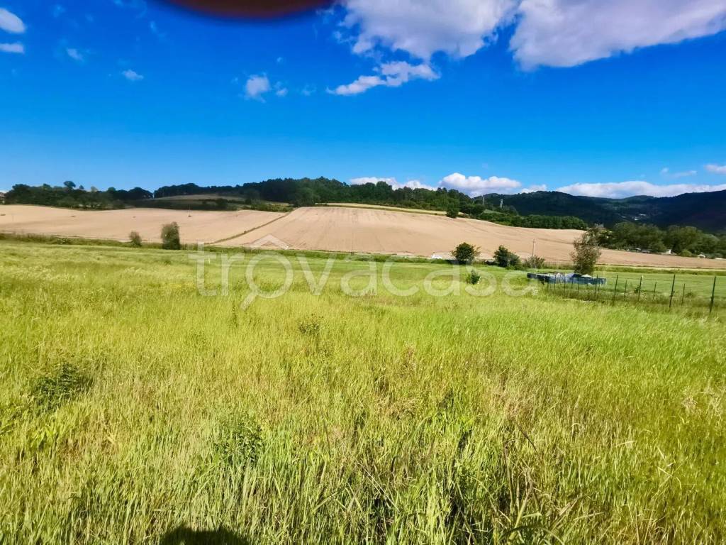 immagine annuncio 5 di 7