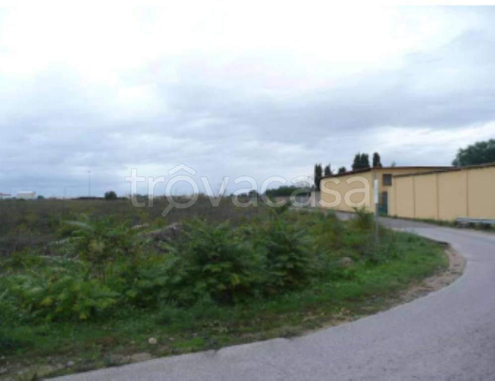 immagine annuncio 5 di 10