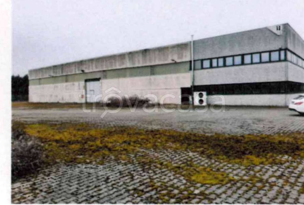 immagine annuncio 6 di 13