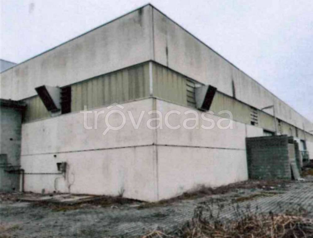 immagine annuncio 7 di 13