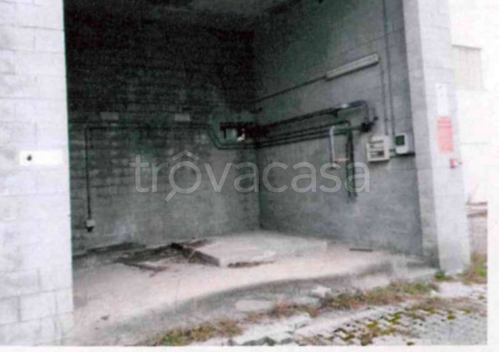 immagine annuncio 9 di 13