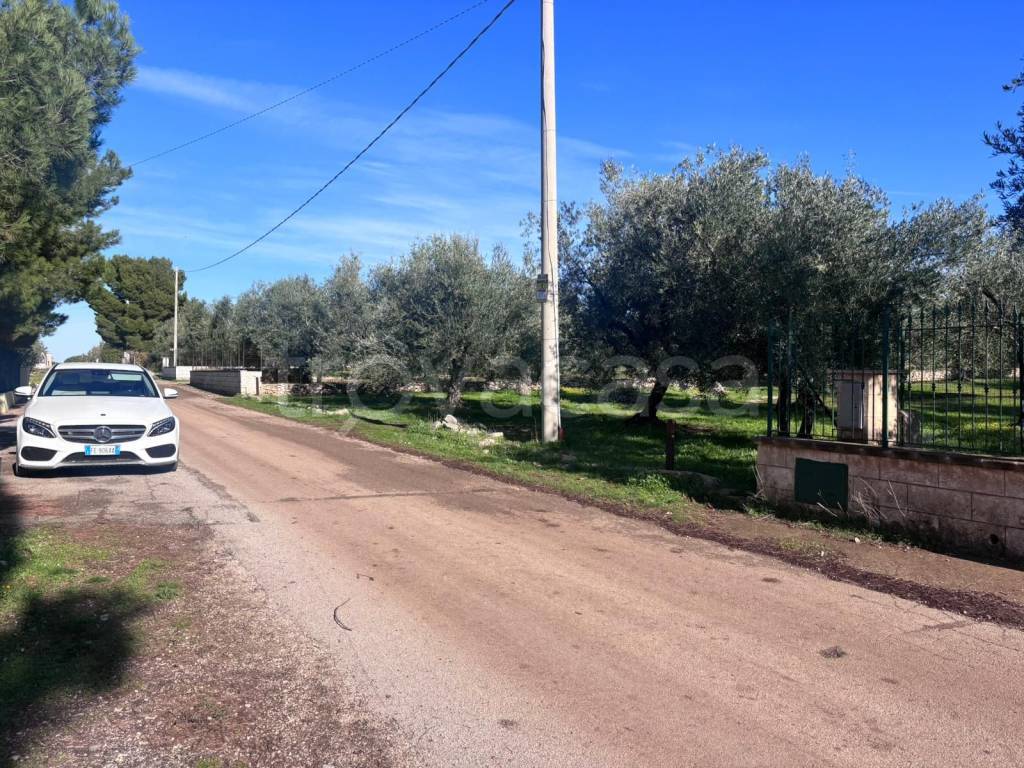 immagine annuncio 1 di 4