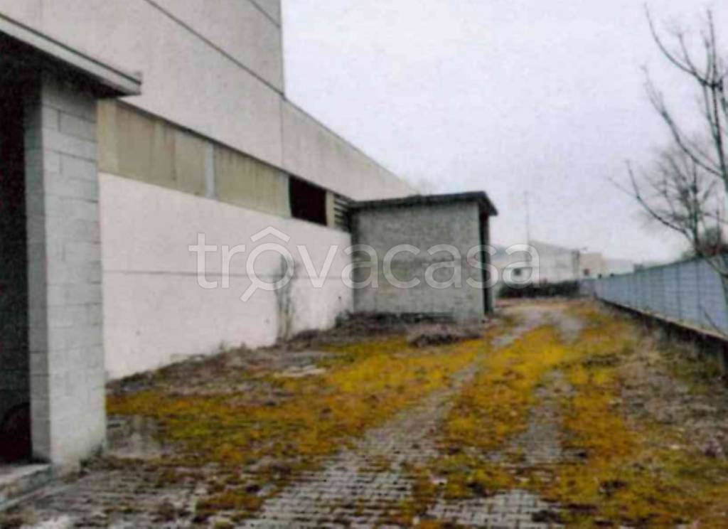 immagine annuncio 10 di 13