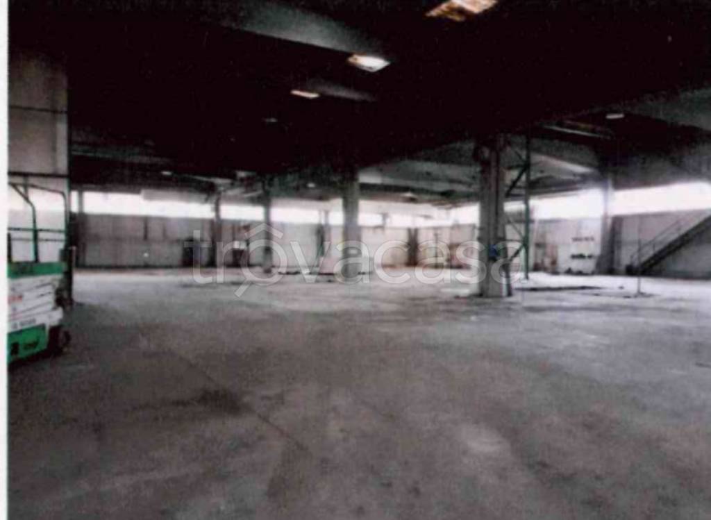 immagine annuncio 12 di 13